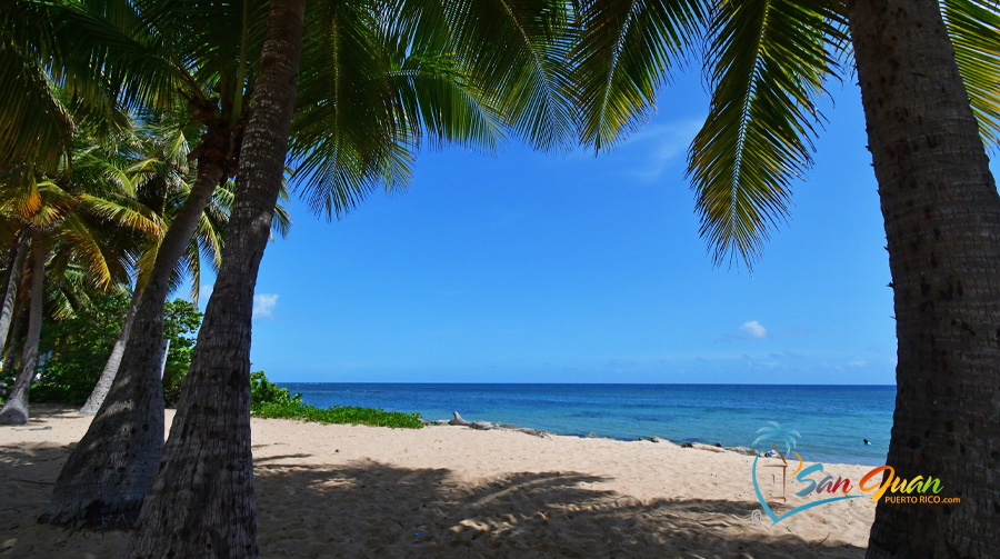 Best Beaches in San Juan, Puerto Rico - Balneario Escambron