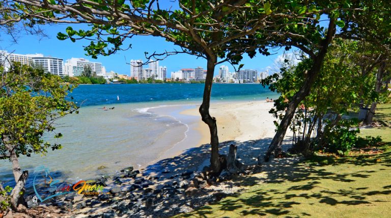 Beach Rentals In San Juan Puerto Rico