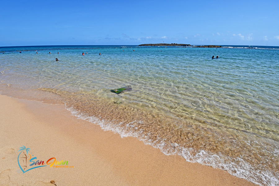 Cruise Excursions - San Juan Puerto Rico - Go Snorkeling with Sea Turtles at Escambron Beach - Puerto Rico