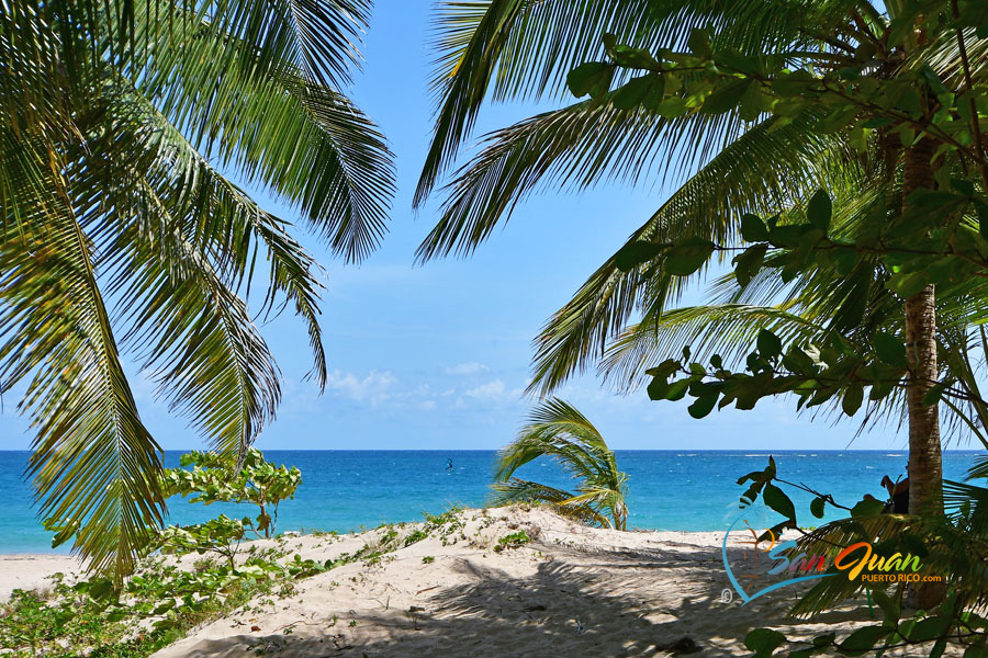 Ocean Park Beach - San Juan Puerto Rico - 2023 Guide w/ Visiting Tips