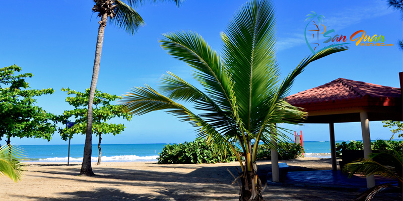 Balneario de Carolina - Isla Verde Beach - Carolina, Puerto Rico