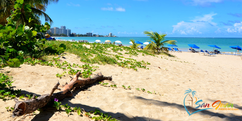 Beaches of Isla Verde, Carolina, Puerto Rico