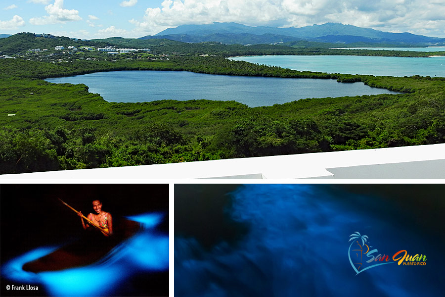 Bioluminescent Bay in Puerto Rico - Best places to visit / top attractions from San Juan