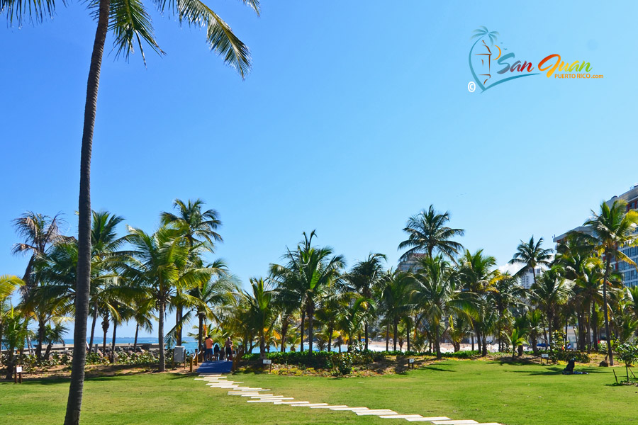 Condado Beach - San Juan, Puerto Rico