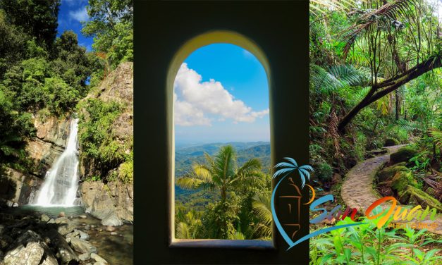 El Yunque National Rainforest, Puerto Rico<BR><h3>2024 Guide to Visiting & Best Tours from San Juan</h3>