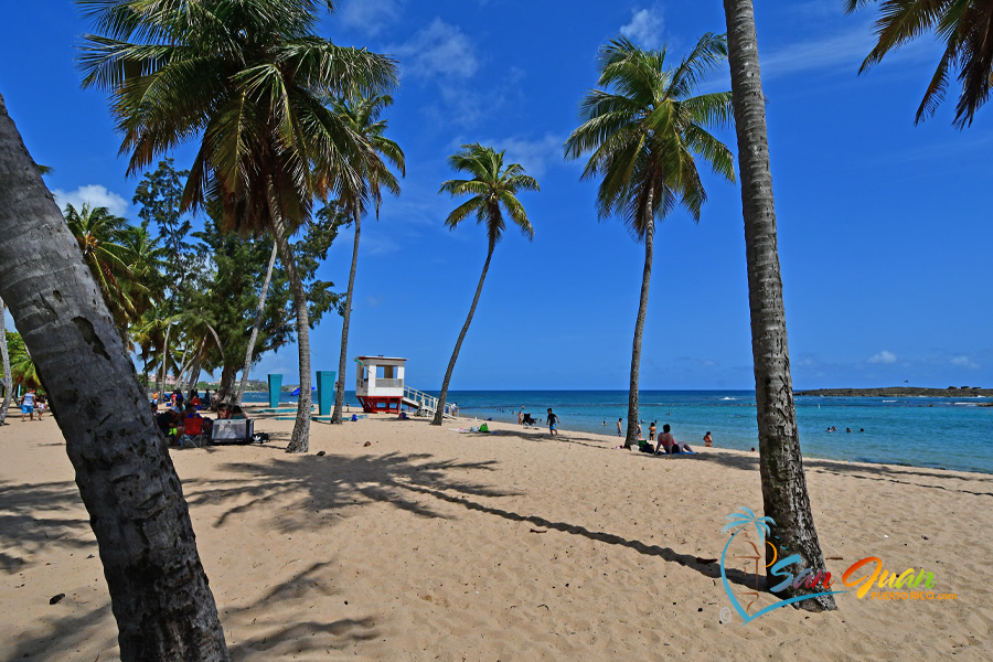 Escambron Beach - Best beaches in San Juan Puerto Rico - Go snorkeling with sea turtles. 