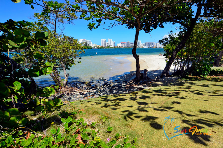 Laguna del Condado / Condado Lagoon - San Juan, Puerto Rico