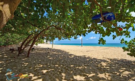 Ocean Park Beach – San Juan, Puerto Rico <BR><h3>2022 Beach Guide w/ Map, Visiting Tips & Best Places to Stay</h3>
