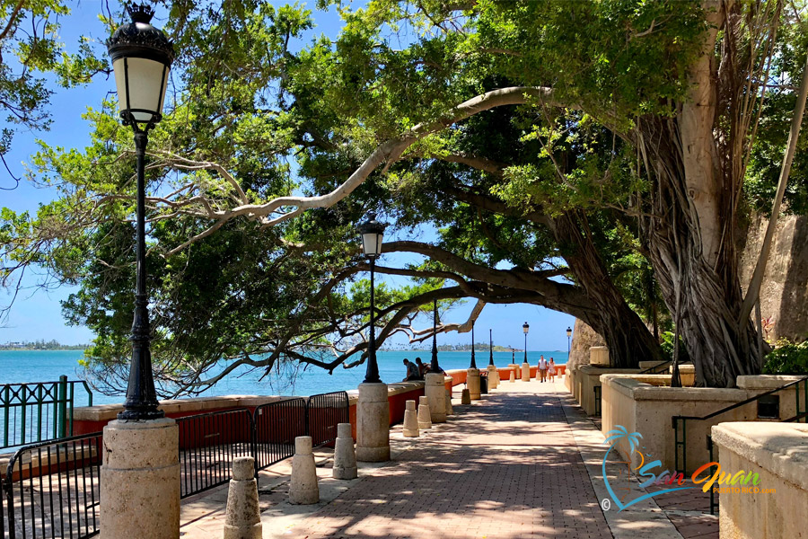 Paseo de La Princesa - Old San Juan, Puerto Rico 