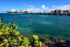 more photos of laguna del condado condado san juan puert rico