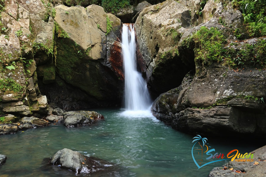 El Yunque National Rainforest - Top Attractions in Puerto Rico