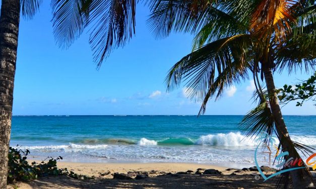 Ocean Park Beach – San Juan, Puerto Rico