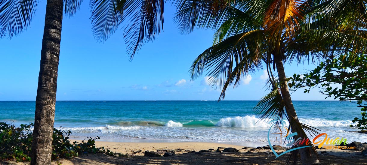 Ocean Park Beach - San Juan Puerto Rico - 2023 Guide w/ Visiting Tips