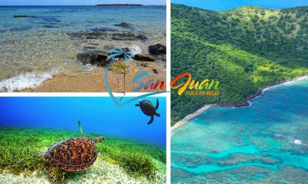 Best Snorkeling Beaches & Tours in San Juan & Top Excursions