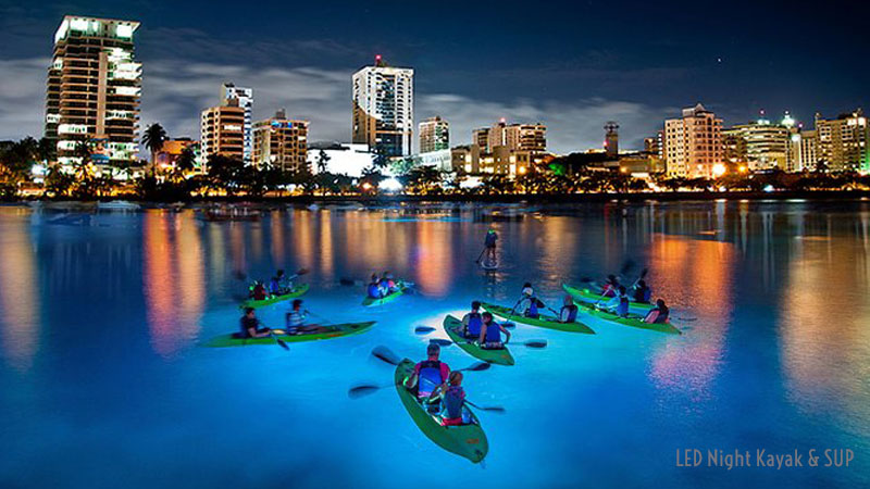 Kayaking Night Tour in Laguna del Condado - San Juan, Puerto Rico